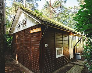 Unterkunft 560846 - Bungalow Utrecht noord - Knus Natuurhuisje aan Weiland