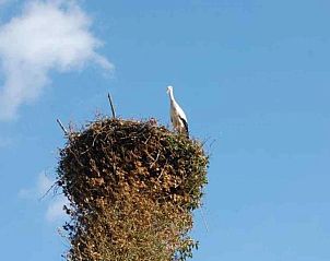 Unterkunft 560922 - Ferienhaus Utrecht noord - UT026