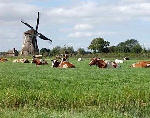 Unterkunft 560923 - Ferienhaus Utrecht noord - UT023