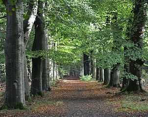 Verblijf 561305 - Vakantiewoning Utrecht noord - De Douglas