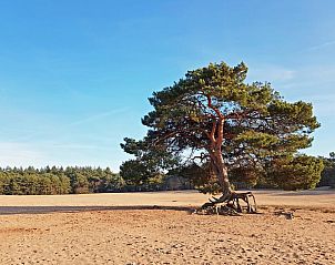 Verblijf 561305 - Vakantiewoning Utrecht noord - De Douglas