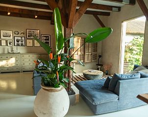 Gezellige woonkamer in Huisje in Waverveen, vakantiehuis in Utrecht met grote plant en kunst.