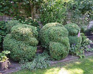 Gepflegte grne Hecken rund um das Haus in Eemnes, Utrecht Nord, bieten Privatsphre und eine ruhige Atmosphre.
