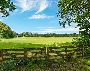 Unterkunft 570115 - Ferienhaus Utrechtse Heuvelrug - Vakantiehuisje in Overberg