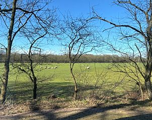 Unterkunft 570115 - Ferienhaus Utrechtse Heuvelrug - Vakantiehuisje in Overberg