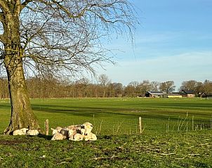 Unterkunft 570115 - Ferienhaus Utrechtse Heuvelrug - Vakantiehuisje in Overberg
