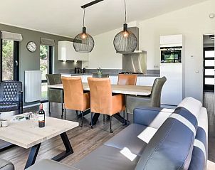 Stijlvolle woonkamer in de Amerongse Berg 6-persoons vakantiewoning in Overberg, Utrechtse Heuvelrug.