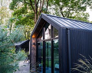 Lodge Royal Eco in Lage Vuursche, moderne vakantieaccommodatie omringd door groen op de Utrechtse Heuvelrug.