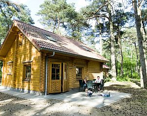 Ferienhaus Sparrendaal in Doorn, Utrechtse Heuvelrug, umgeben von waldreicher Natur mit einer gemtlichen Terrasse.