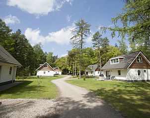 Vakantiewoning Hydepark in Doorn, Utrechtse Heuvelrug, biedt een serene omgeving met charmante vakantiehuizen en groene natuur.