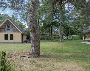 Vakantiewoning Beukenrode in Doorn, Utrechtse Heuvelrug biedt een serene omgeving met groene natuur rondom het vakantiehuis.