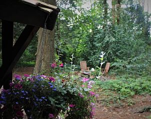 Unterkunft 570416 - Ferienhaus Utrechtse Heuvelrug - Vakantiehuis in Doorn