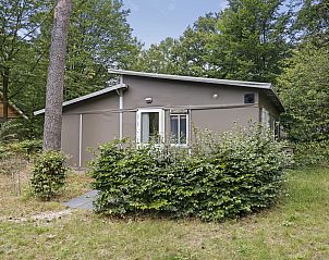 Guest house 570422 - Chalet Utrechtse Heuvelrug - Chalet Doornburgh