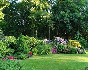 Unterkunft 570430 - Ferienhaus Utrechtse Heuvelrug - Huisje in Doorn