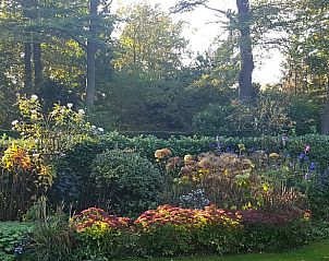 Unterkunft 570430 - Ferienhaus Utrechtse Heuvelrug - Huisje in Doorn