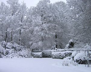 Unterkunft 570430 - Ferienhaus Utrechtse Heuvelrug - Huisje in Doorn