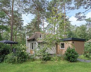 Gezellig vakantiehuis Bungalow Wallenburg in Doorn, omgeven door natuur op de Utrechtse Heuvelrug.