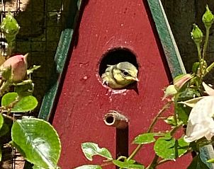 Unterkunft 570445 - Ferienhaus Utrechtse Heuvelrug - Vakantiehuis in Doorn