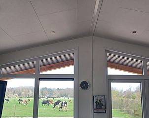 Unterkunft 570453 - Ferienhaus Utrechtse Heuvelrug - Huisje in Doorn