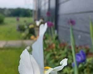 Unterkunft 570453 - Ferienhaus Utrechtse Heuvelrug - Huisje in Doorn