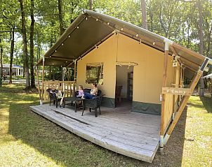 Unterkunft 570456 • Zelthaus Utrechtse Heuvelrug • Safaritent 6 persoons 