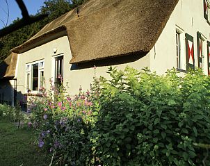 Verblijf 570457 - Vakantiewoning Utrechtse Heuvelrug - Hofstede Groot Blankenstein