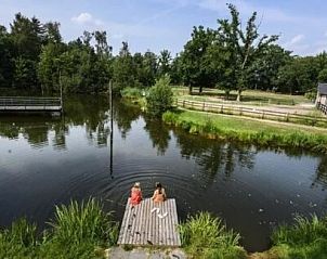 Natuurlijk uitzicht vanaf de steiger bij Ons puntje chalet in Renswoude, Utrechtse Heuvelrug. Perfect voor een rustige middag.