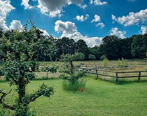 Prachtige natuur rondom Vakantiehuisje in Rhenen, Utrechtse Heuvelrug, met fruitbomen en open velden.