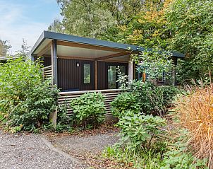 Verblijf 5707135 - Bungalow Utrechtse Heuvelrug - 4-6-persoons Cottage | 4-6B