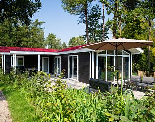 Guest house 570721 • Holiday property Utrechtse Heuvelrug • Vakantiehuis De Thijmse Berg 