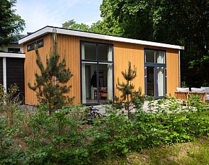 Buitenzijde van Vakantiehuis De Thijmse Berg Rhenen Utrechtse Heuvelrug met houten gevel en groene omgeving.