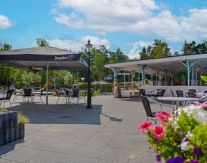 Buitenterras met parasols bij Vakantiehuis De Thijmse Berg Rhenen Utrechtse Heuvelrug omgeven door bloemen.
