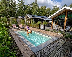 Kinderen genieten in het zwembad bij Vakantiehuis De Thijmse Berg, Rhenen, Utrechtse Heuvelrug.