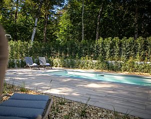 Rustgevende tuin met zwembad bij Vakantiehuis De Thijmse Berg, Rhenen, Utrechtse Heuvelrug.