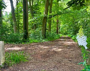 Unterkunft 570742 - Ferienhaus Utrechtse Heuvelrug - Vakantiehuisje in Rhenen