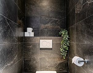 Stijlvol toilet in Huisje in Rhenen, Utrechtse Heuvelrug, met moderne afwerking en groene accenten.