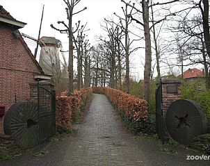 Unterkunft 570744 - Appartement Utrechtse Heuvelrug - Appartement in Rhenen bei Grebbeberg und Wald