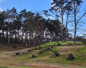 Unterkunft 570902 - Ferienhaus Utrechtse Heuvelrug - Vakantiehuisje in Driebergen-Rijsenburg