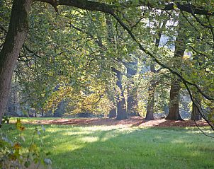 Unterkunft 571113 - Ferienhaus Utrechtse Heuvelrug - Huisje in Leersum