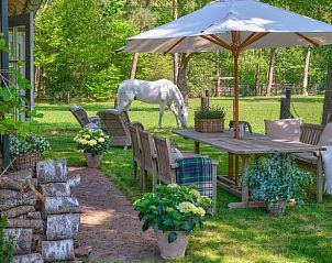 Unterkunft 571113 - Ferienhaus Utrechtse Heuvelrug - Huisje in Leersum