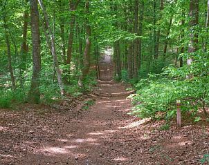 Unterkunft 571113 - Ferienhaus Utrechtse Heuvelrug - Huisje in Leersum