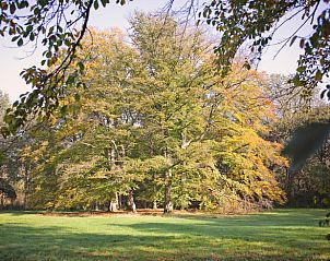 Unterkunft 571113 - Ferienhaus Utrechtse Heuvelrug - Huisje in Leersum