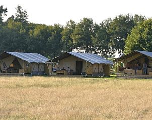 Unterkunft 571116 - Ferienhaus Utrechtse Heuvelrug - Huisje in Leersum