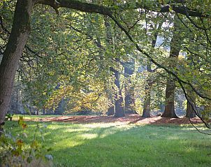 Unterkunft 571118 - Ferienhaus Utrechtse Heuvelrug - UT040