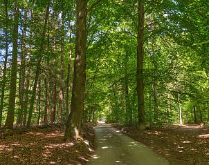 Unterkunft 571118 - Ferienhaus Utrechtse Heuvelrug - UT040