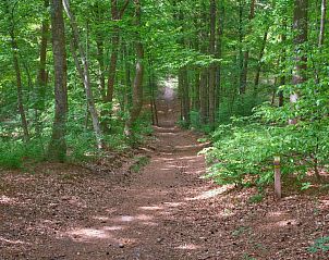 Unterkunft 571118 - Ferienhaus Utrechtse Heuvelrug - UT040