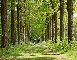 Verblijf 571203 - Vakantiewoning Utrechtse Heuvelrug - Studio landscape
