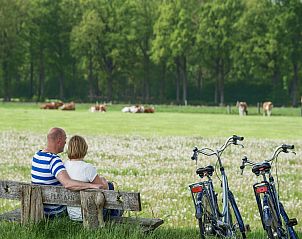 Verblijf 571205 - Vakantiewoning Utrechtse Heuvelrug - Holiday home 4 persons