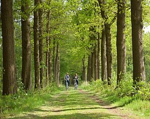 Verblijf 571208 - Vakantiewoning Utrechtse Heuvelrug - Holiday home 6 persons kids