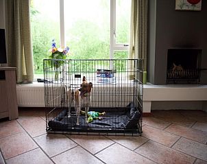 Verblijf 571209 - Vakantiewoning Utrechtse Heuvelrug - Holiday home 6 persons Dogs